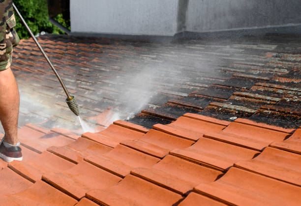 Best Commercial Building Pressure Washing  in Wailuku, HI