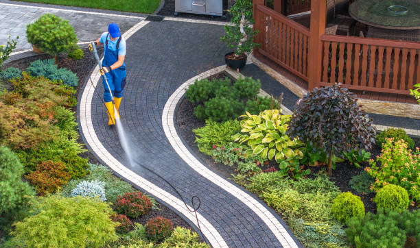 Professional Pressure Washing in Wailuku, HI